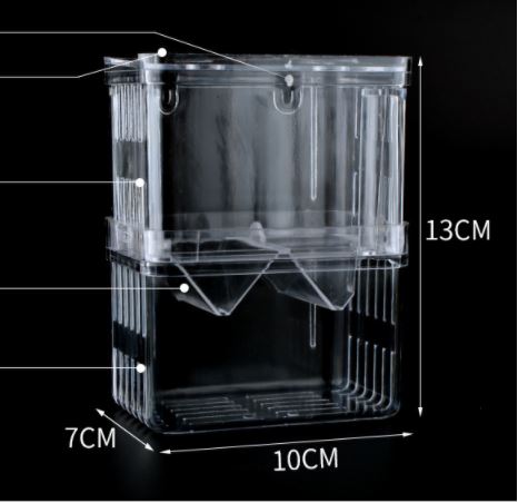 Lồng đẻ 7 màu Mica - Bể cách ly cho cá sinh sản