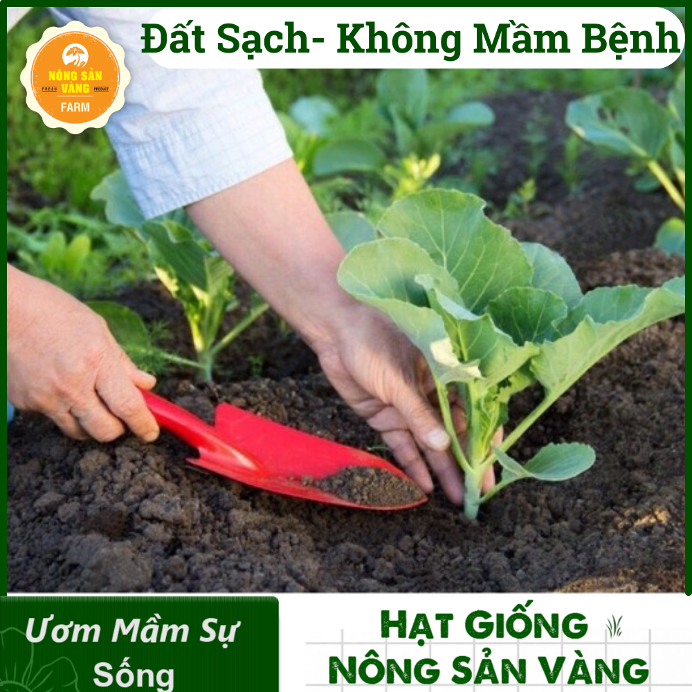 Đất sạch LAVAMIX 6.5 dm3, Đất hữu cơ đa dụng - Nông Sản Vàng