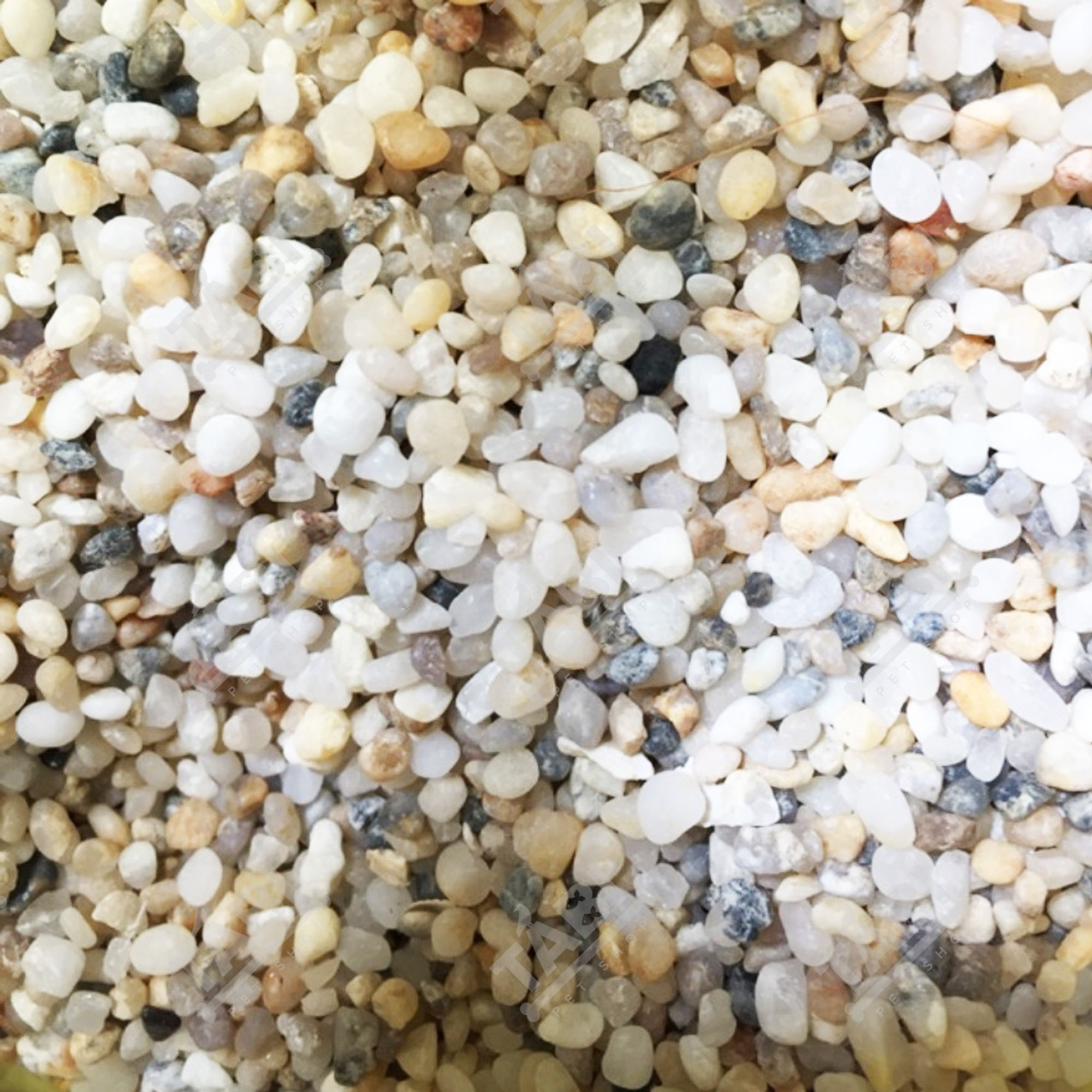 1kg Sỏi Biển Thiên Nhiên Trang Trí Sân Vườn, Lót Chậu Cây, Trang Trí Hồ Cá, Bể Cá Thủy Sinh, Hồ 7 Màu, Betta, Terrarium