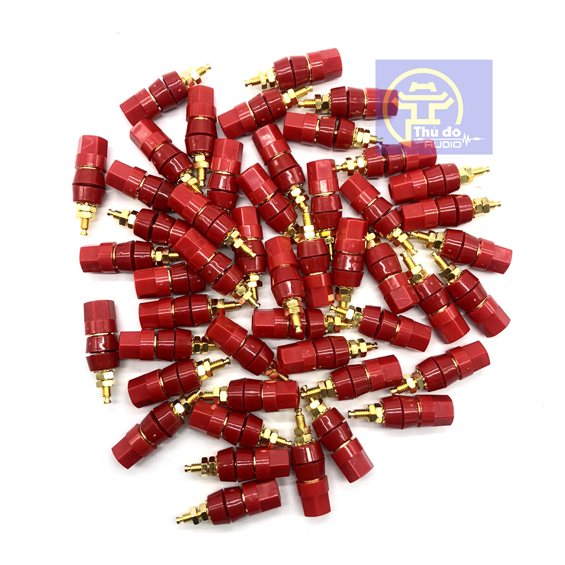 02 Cọc loa bắp chuối loại dài