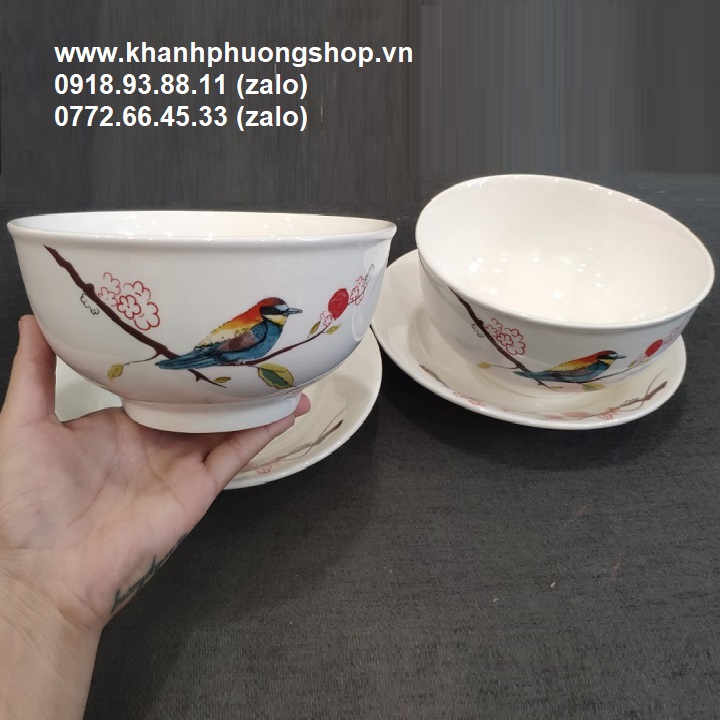 [HCM]tô sứ - tô sứ trắng
