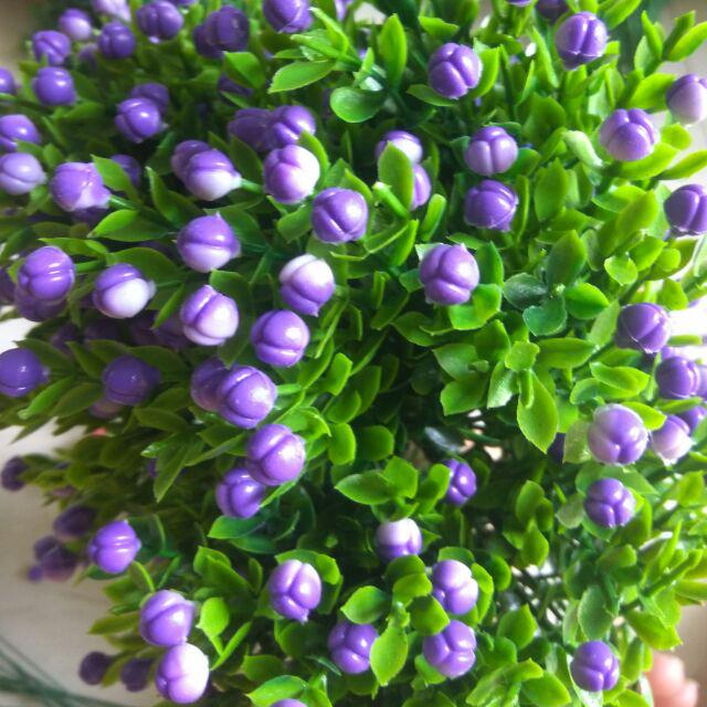 CÀNH HOA CHIÊM ĐIỂM SIÊU ĐẸP LIZ12