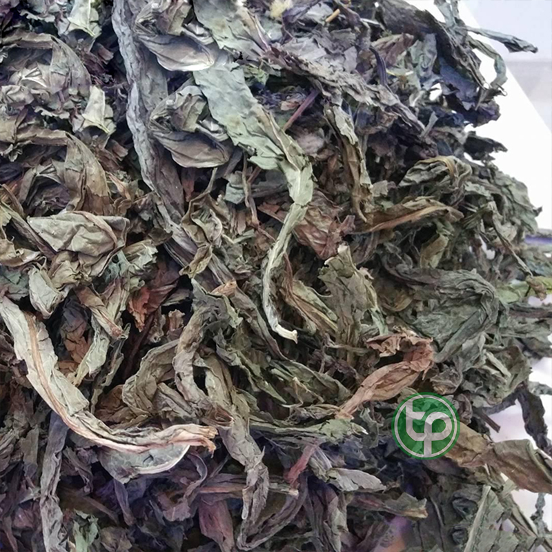[Trà khô cao cấp] Lá khôi tía khô 200g - Dược Tấn Phát