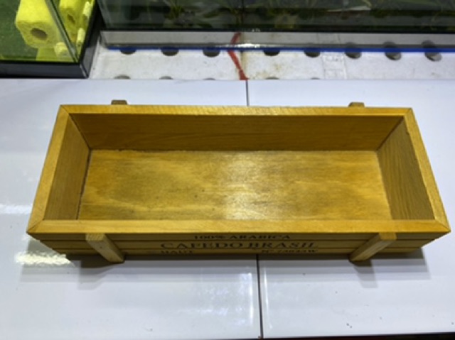 SEN ĐÁ TRỒNG CHẬU GỖ CEFODO
