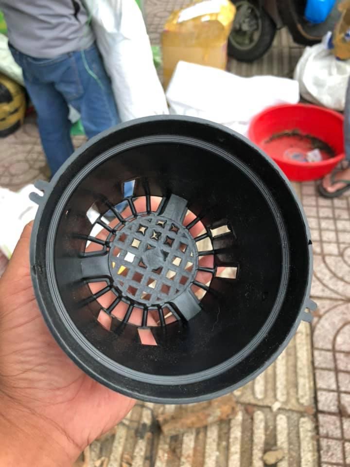 combo 100 chậu nhựa 12cm trồng lan
