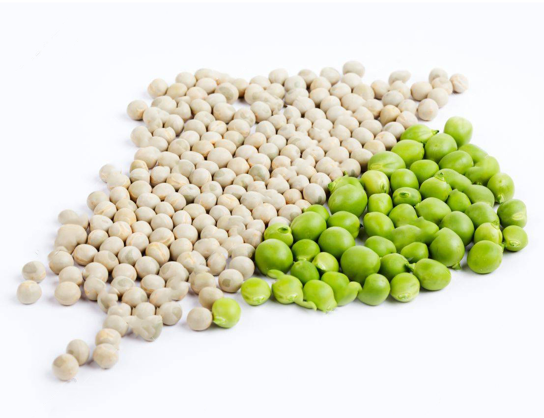 Đậu Hà Lan xanh nguyên hạt Dry Pea
