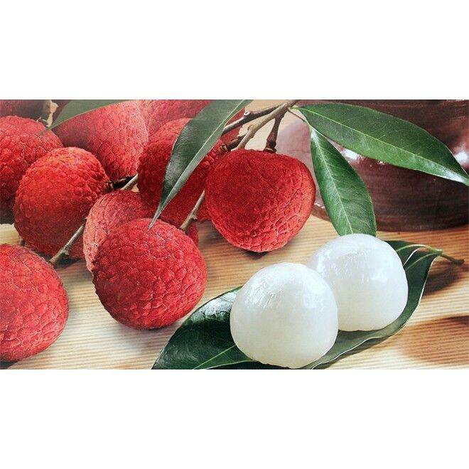 Vải Không Hạt -SHU Farm (cho trái sớm)