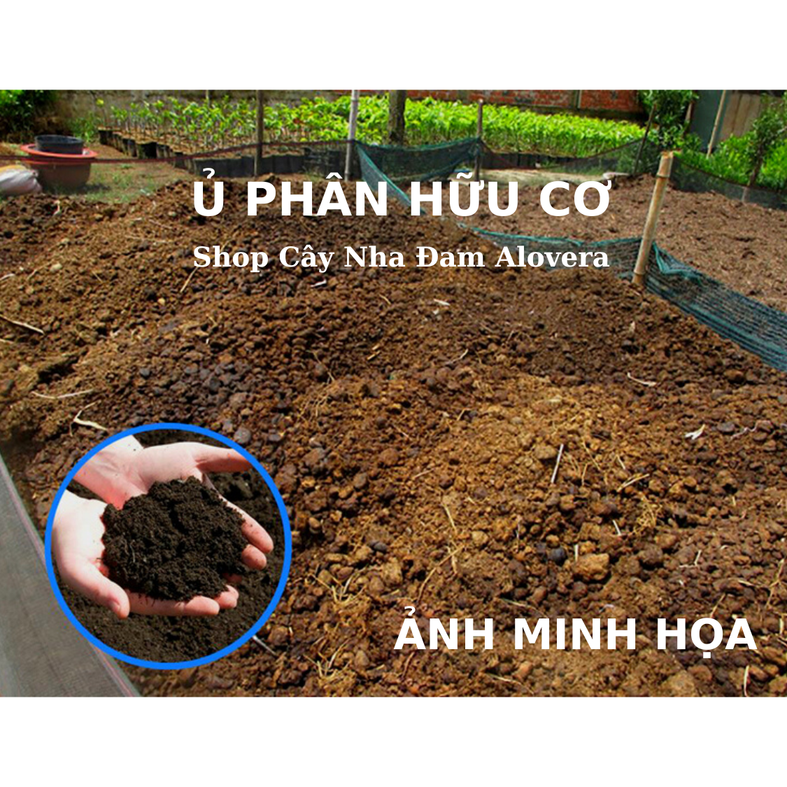 Chế Phẩm TRICHODERMA Plus Cao Cấp Chuyên Ủ Phân Hữu Cơ Cho Mọi Cây Trồng (GÓI 1KG)
