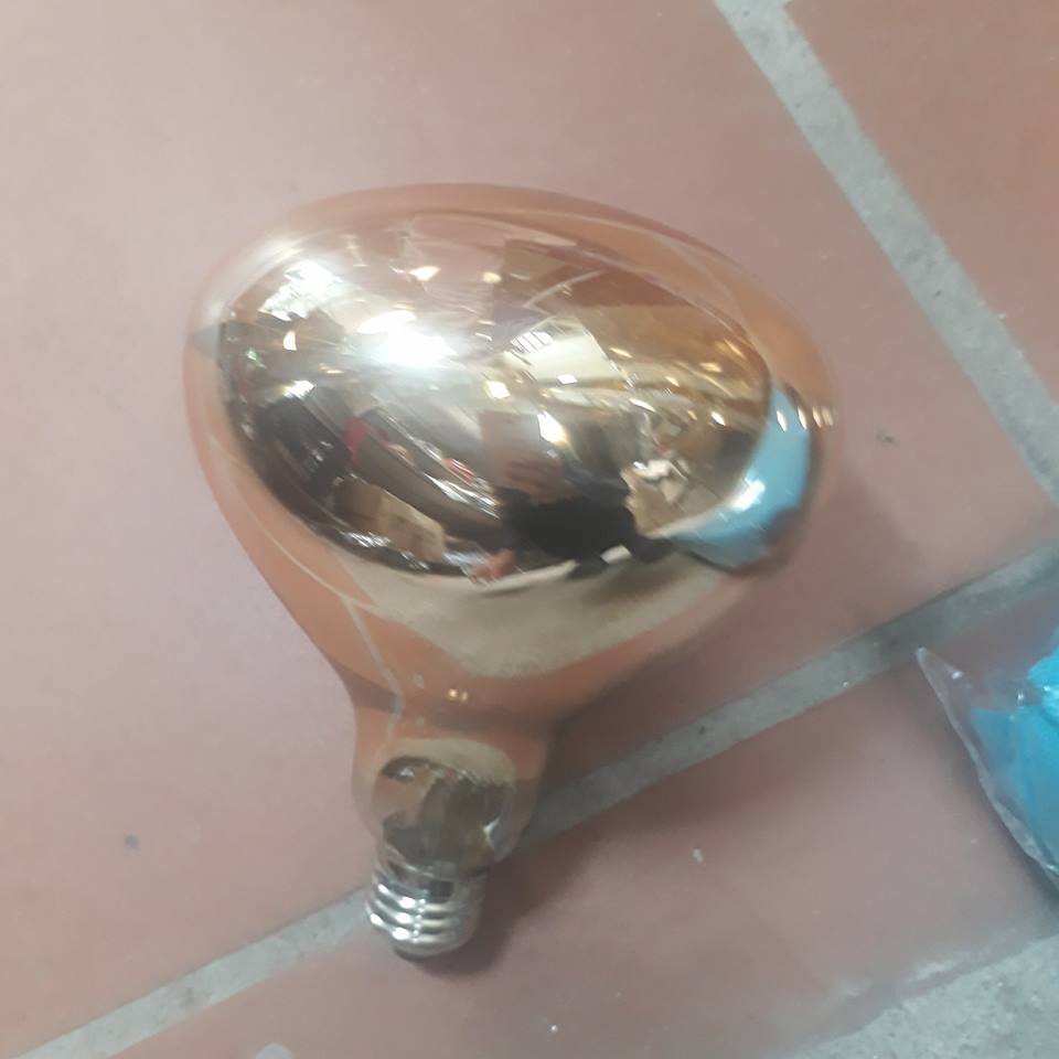 Bóng đèn sưởi nhà tắm 275W