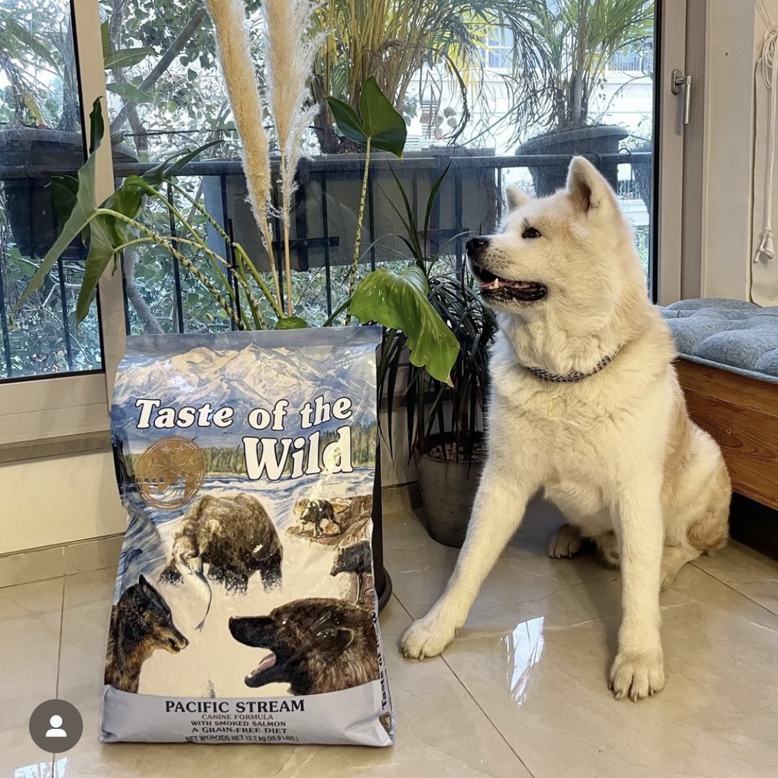 Hạt chó TASTE OF THE WILD (bao nguyên seal 2kg)