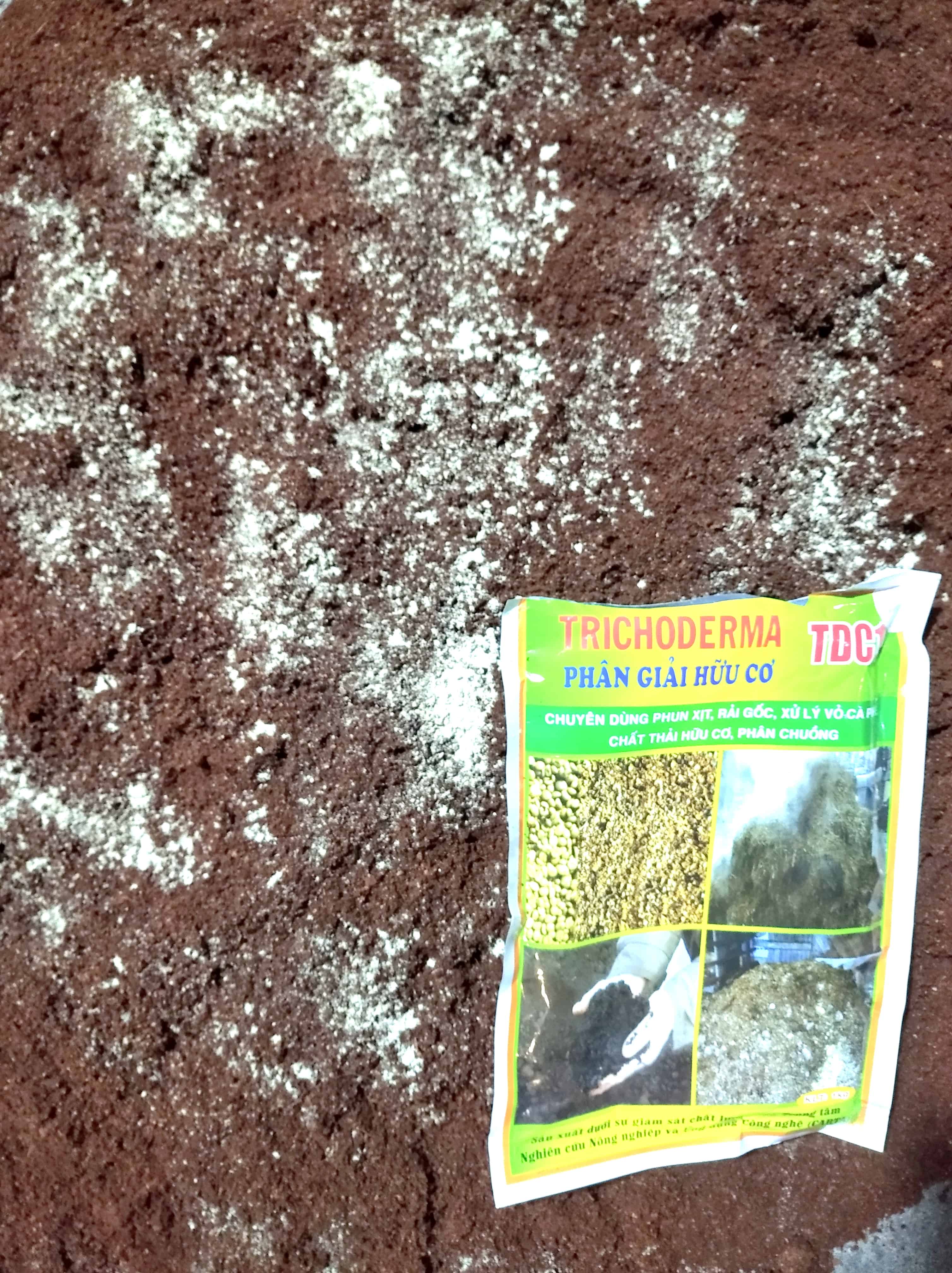 Xơ dừa mụn dừa đã xử lý 1kg