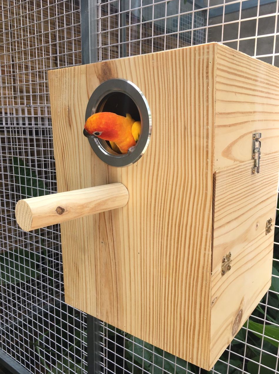 [HCM]TỔ CHO VẸT SUN CORUNES...