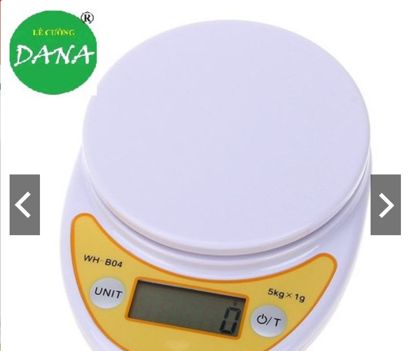 Cân điện tử WH - B04