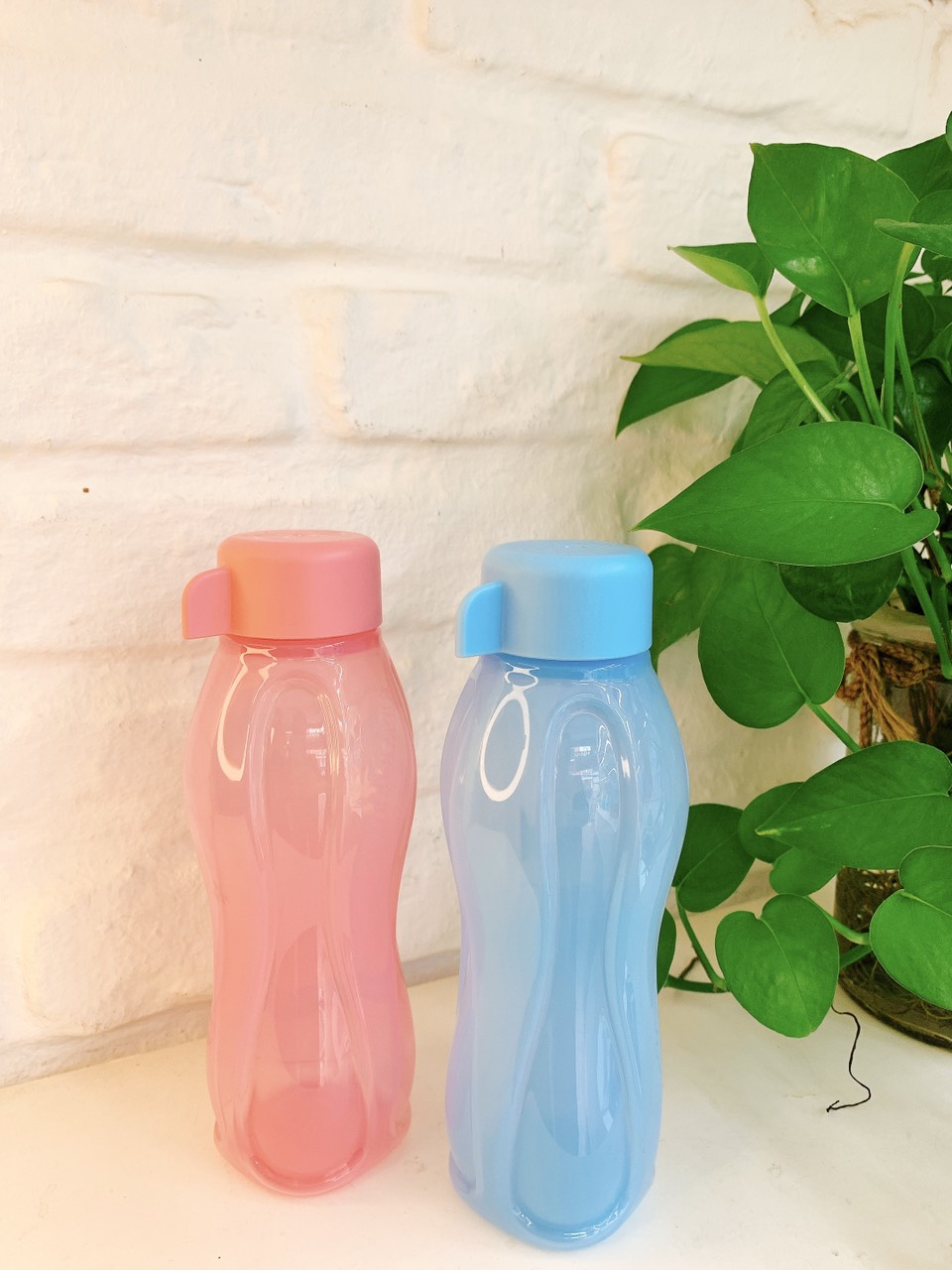 Bình Nước Eco Bottle 310ml - Tupperware