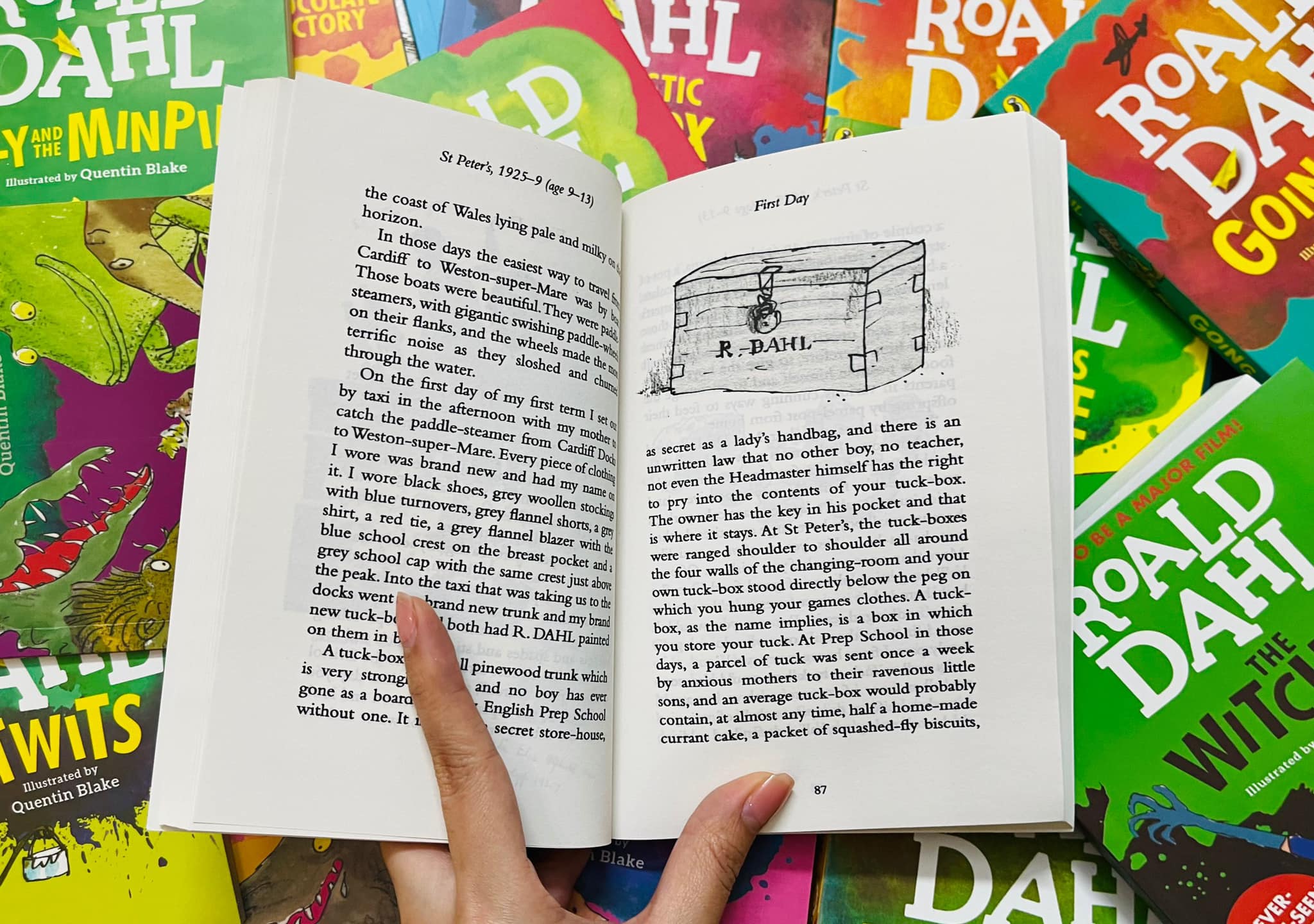 Roald Dahl Colour Edition - 18q | Nhập Khẩu (Full Color)