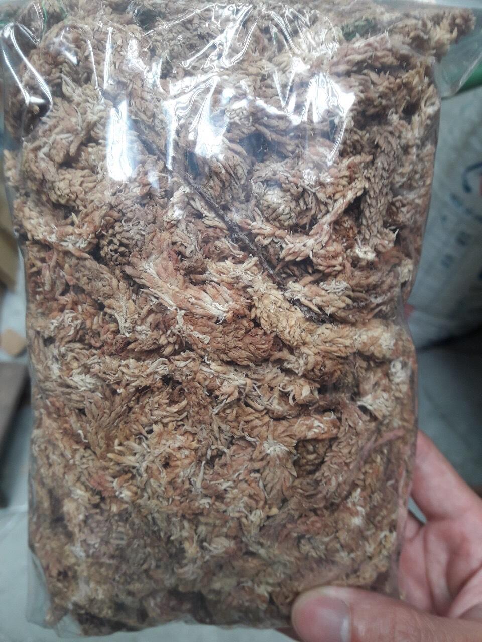 100G rêu sâu CHILE siêu chất lượng