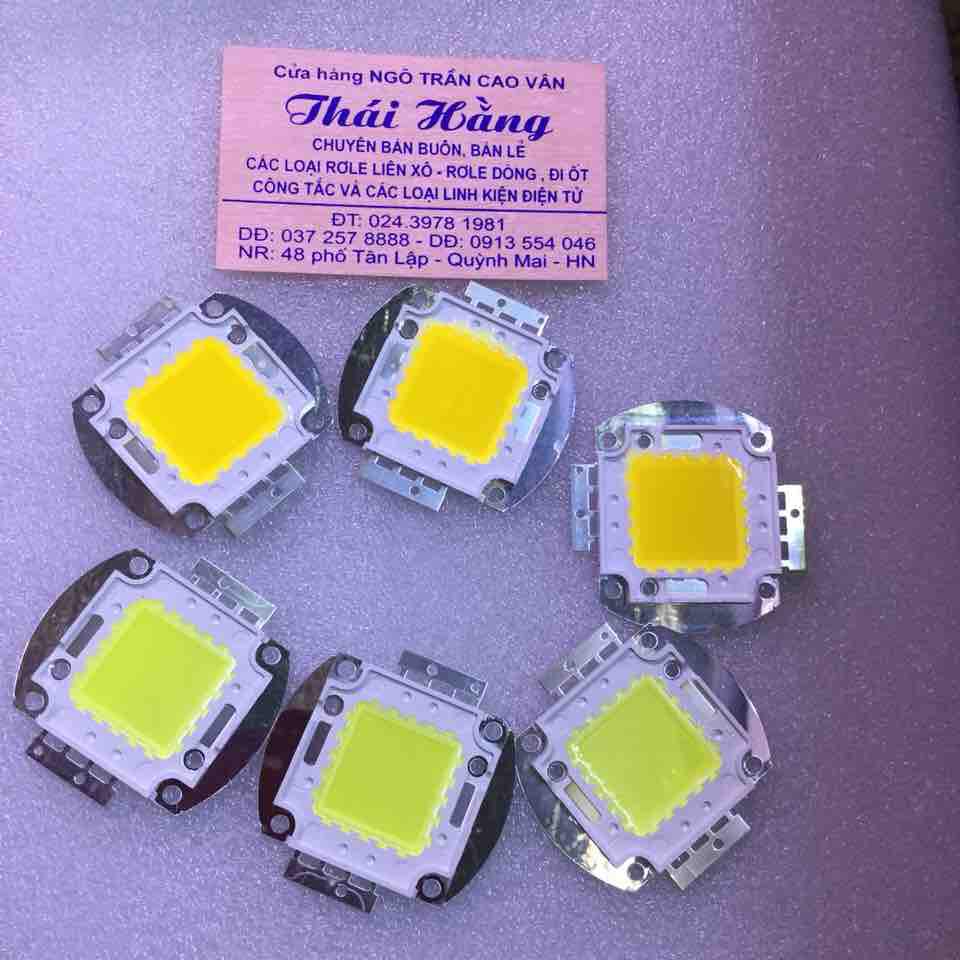 Led công suất 20 W /12 v màu trắng và vàng giá cho 2 chiếc