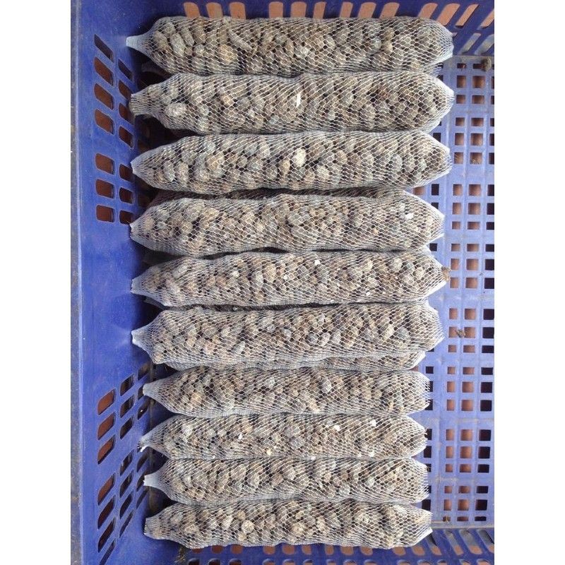 15 túi phân dê đóng sẵn dài 20cm.