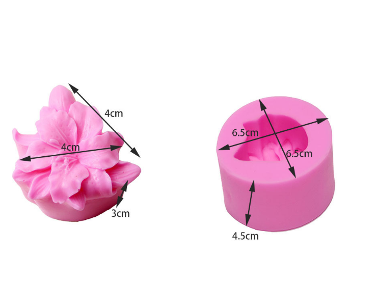 Khuôn silicon 3D hoa Lan