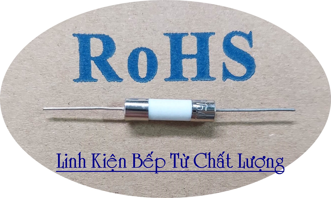 Cầu chì sứ chân cắm 10a 250vac 5x20mm mới.