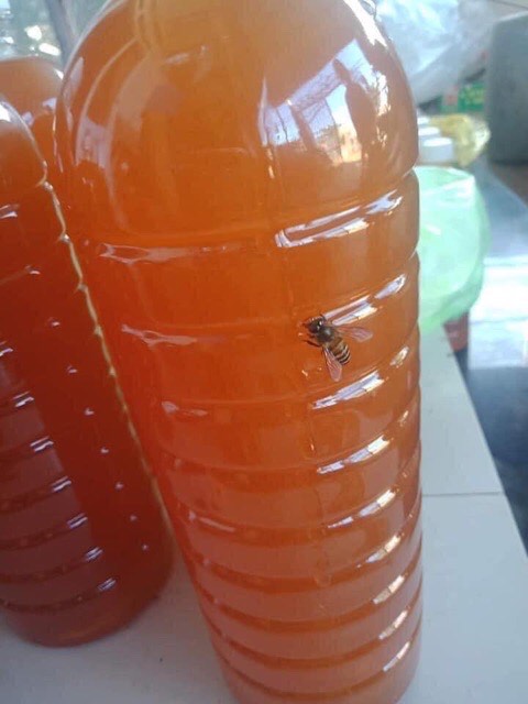 [HCM]Mật ong nguyên chất đảm bảo chất lượng 500ml