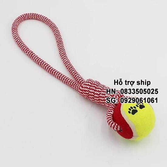 Hanpet - Đồ chơi cho chó - Bóng tennis kèm thừng xoắn - dành cho chó yêu tập cắn