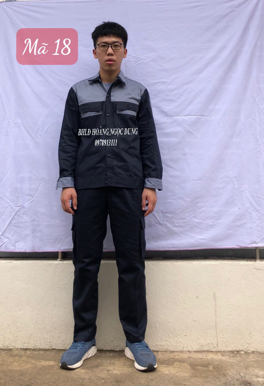 Đồng costumes, costume workwear, clothing workwear, delivery purple coal delivery record light