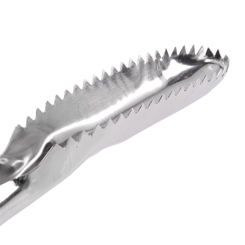Dụng Cụ Đánh Vẩy Cá Inox