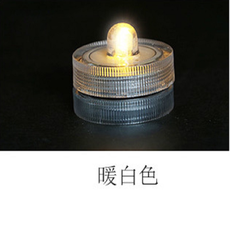 Đèn Led trang trí bể cá