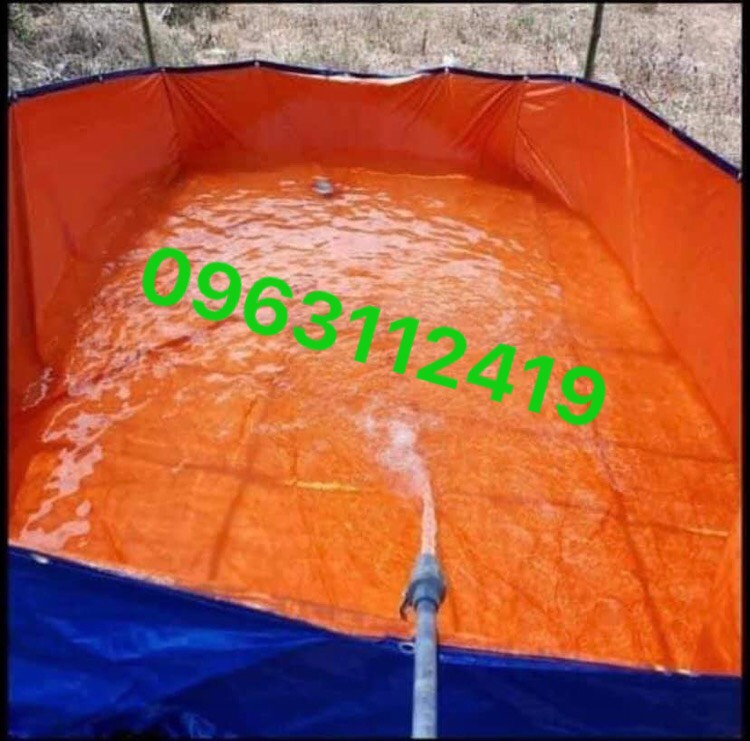 Bể nuôi ốc, nuôi ếch, cá nhỏ, ươm ốc, ếch, lươn, trạch