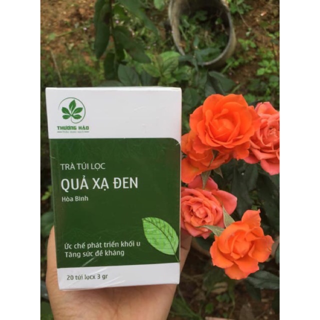 Trà túi lọc quả xạ đen đạt chuẩn GMP-WHO (20 gói x 3gr) -Đặc sản Hòa Bình 28