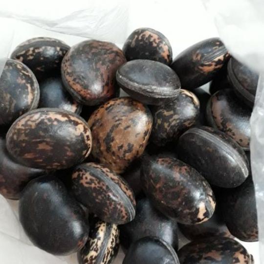 set 500g hạt đậu lào