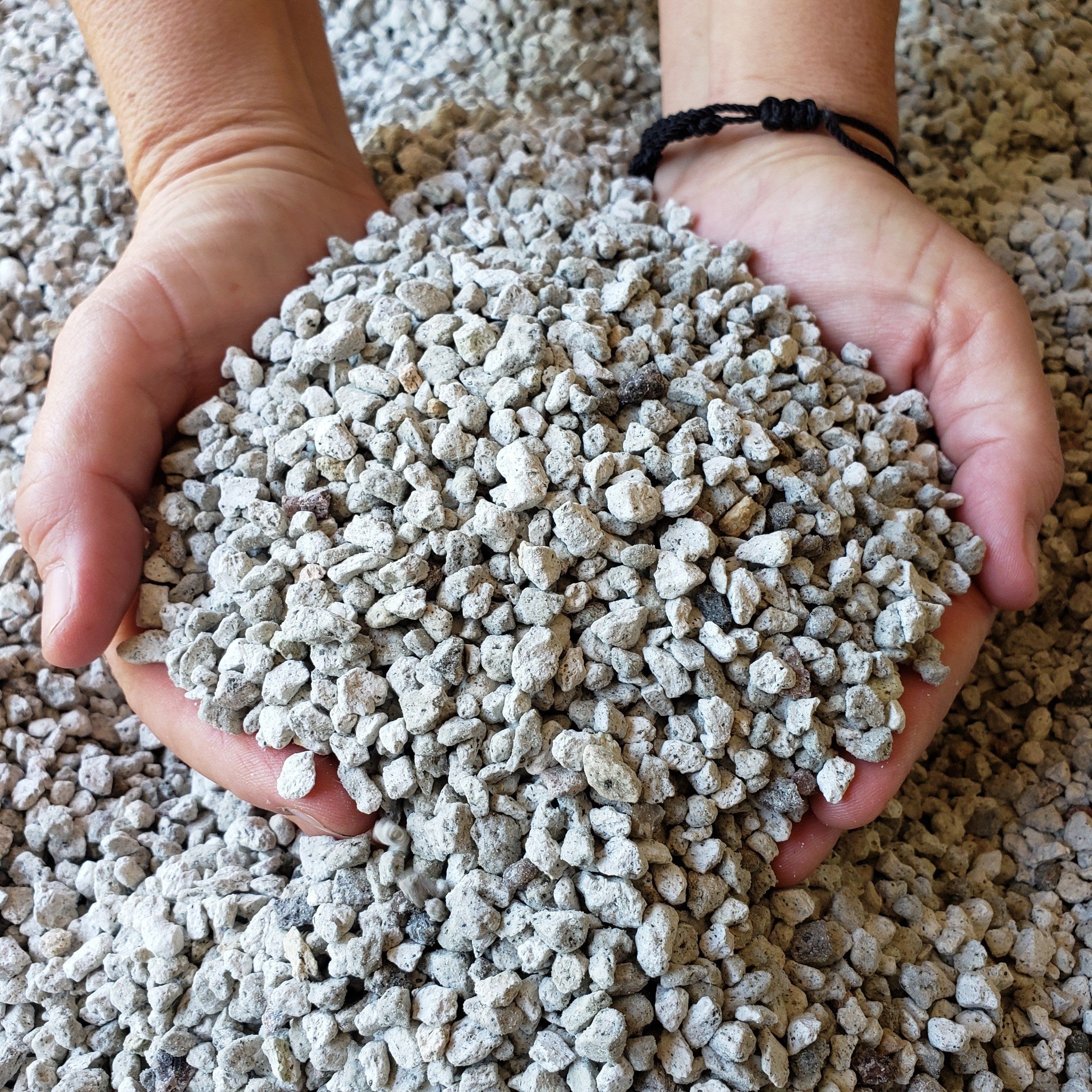 Đá bọt PUMICE trồng lan, sen đá, cây cảnh