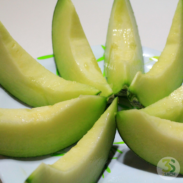 Combo of 4 Packs of Assorted Melon Seeds (Green Mesh + Yellow + Hq Melon + Pear Melon)