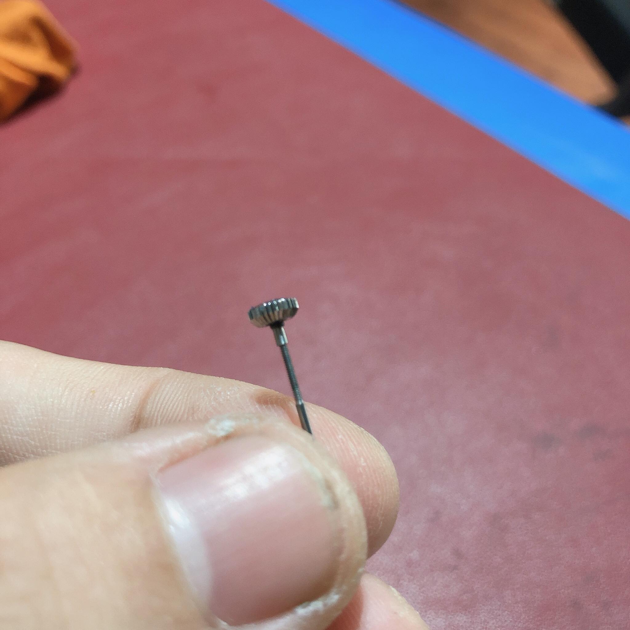 Núm và cây chỉnh giờ đồng hồ DW các loại