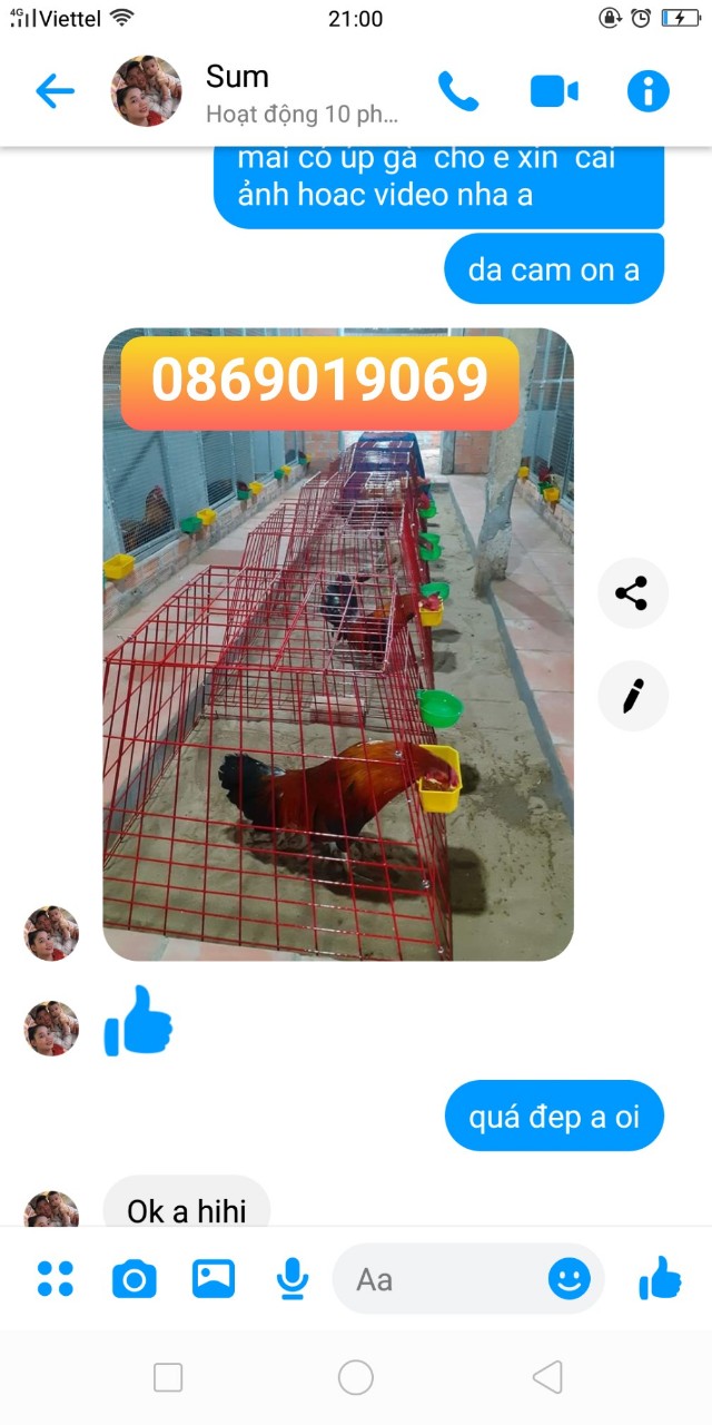 Bội vuông , bội tháp ... cao 60 r 80 tre