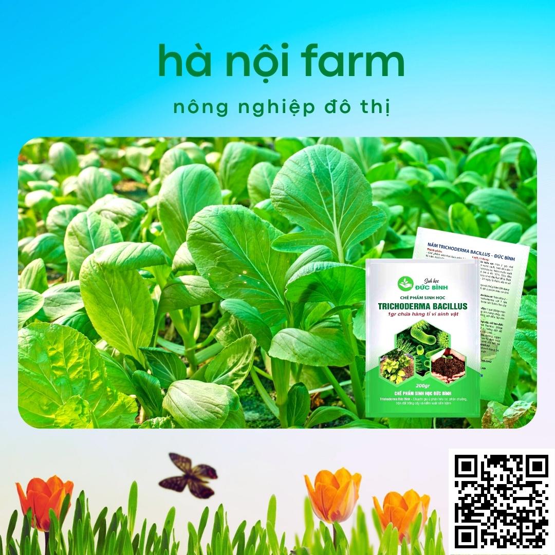 Men ủ sinh học TRICHODERMA BACILILUS gói 200g, tricho đức bình