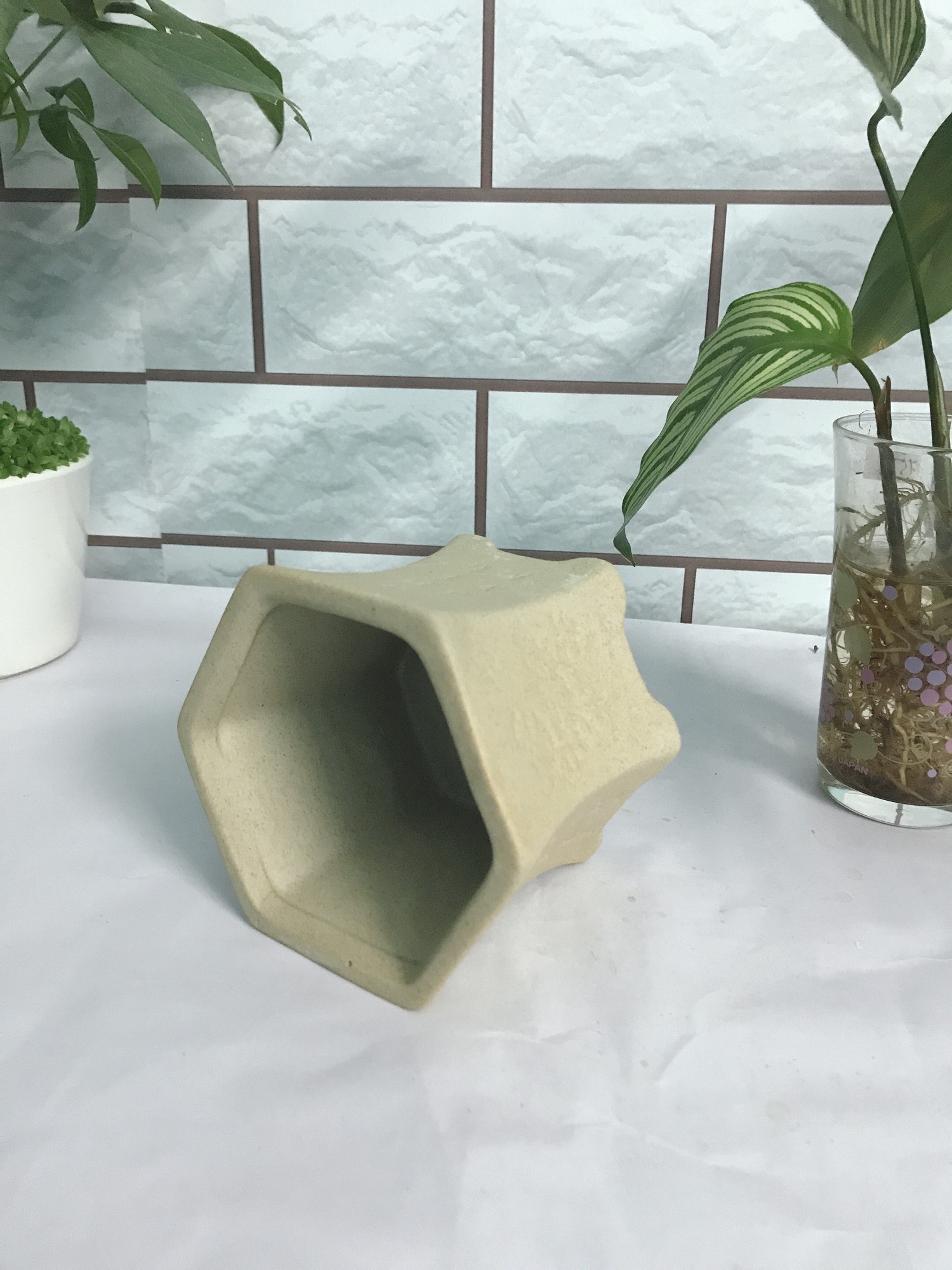 Chậu sứ lục giác