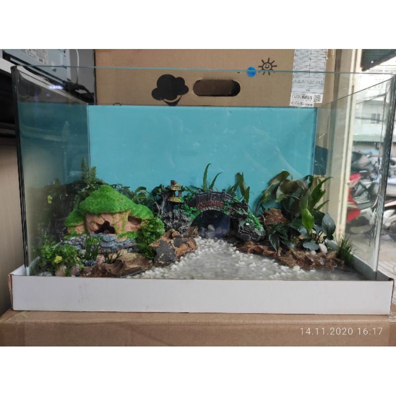 Decal dán hồ cá
