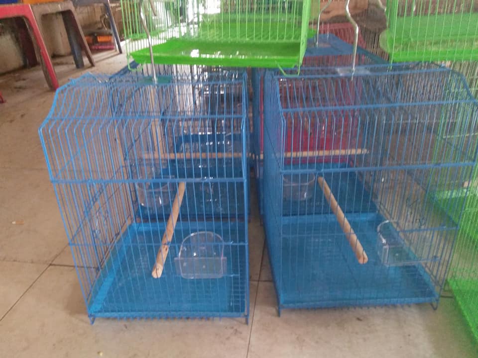 Lồng chim yến phụng 402(Giao màu ngẫu nhiên)
