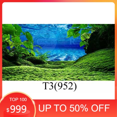 Tranh 3D dán bể cá cảnh hồ thuỷ sinh