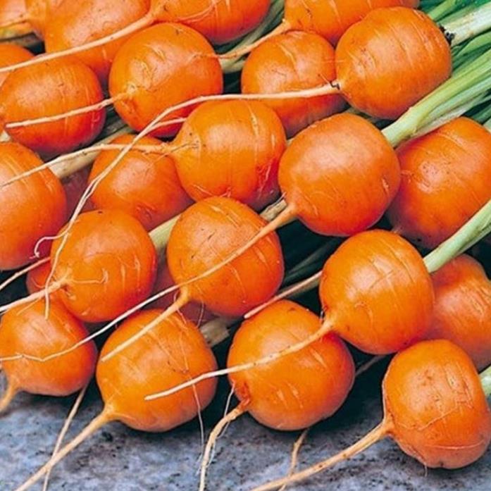 HẠT GIỐNG CÀ RỐT CỦ TRÒN PARIS - GÓI 1 GRAM
