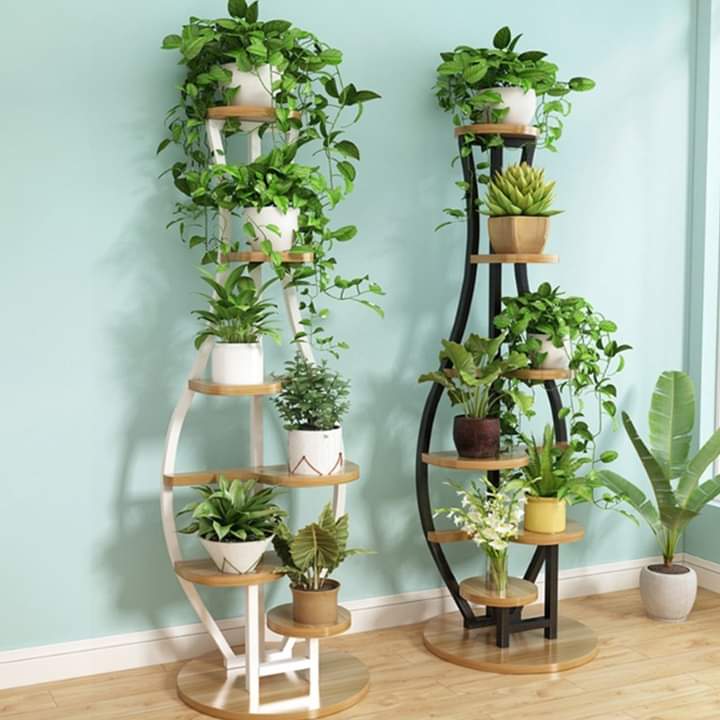 Kệ trang trí tiểu cảnh mini trong nhà
