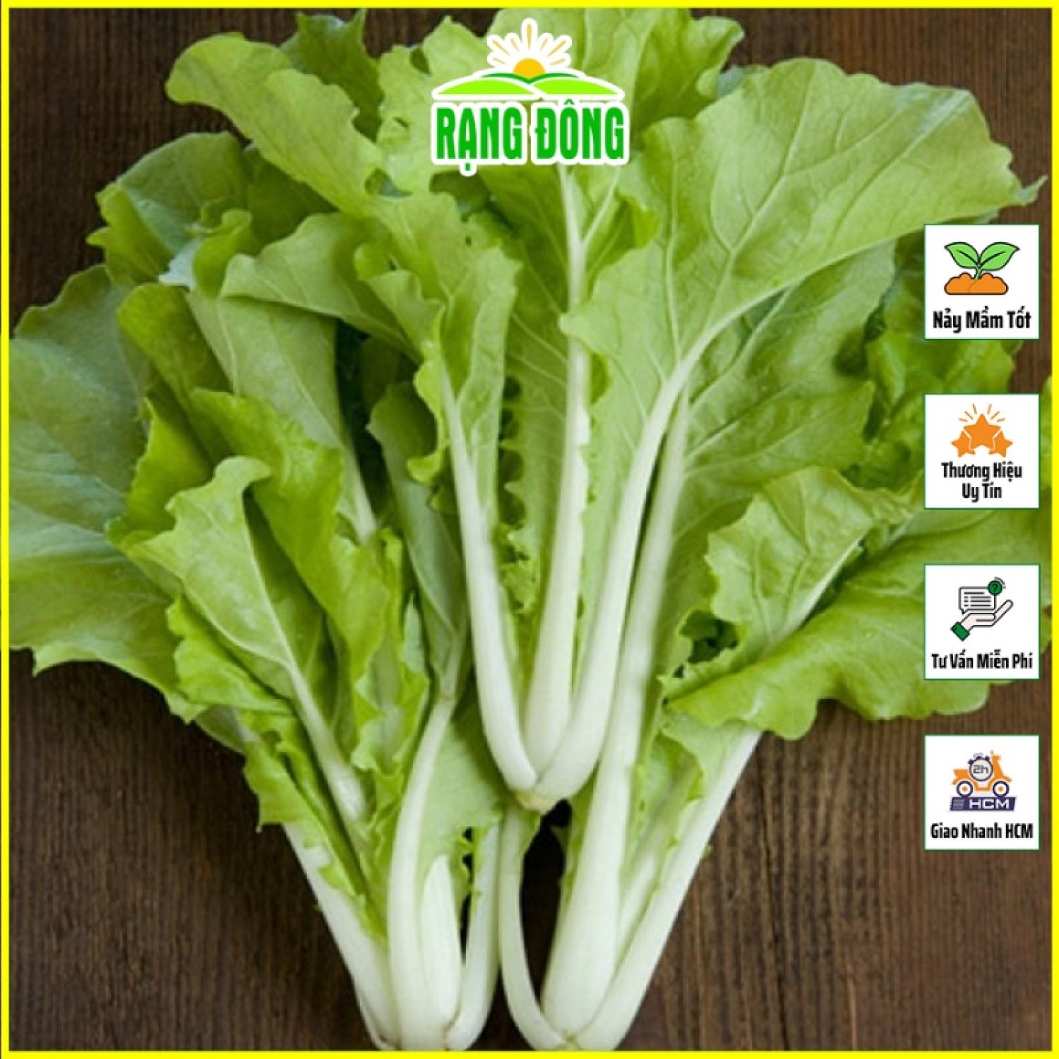 Hạt giống cải bẹ dún giòn ngọt, dễ trồng, nhanh thu hoạch - hạt giống rạng đông