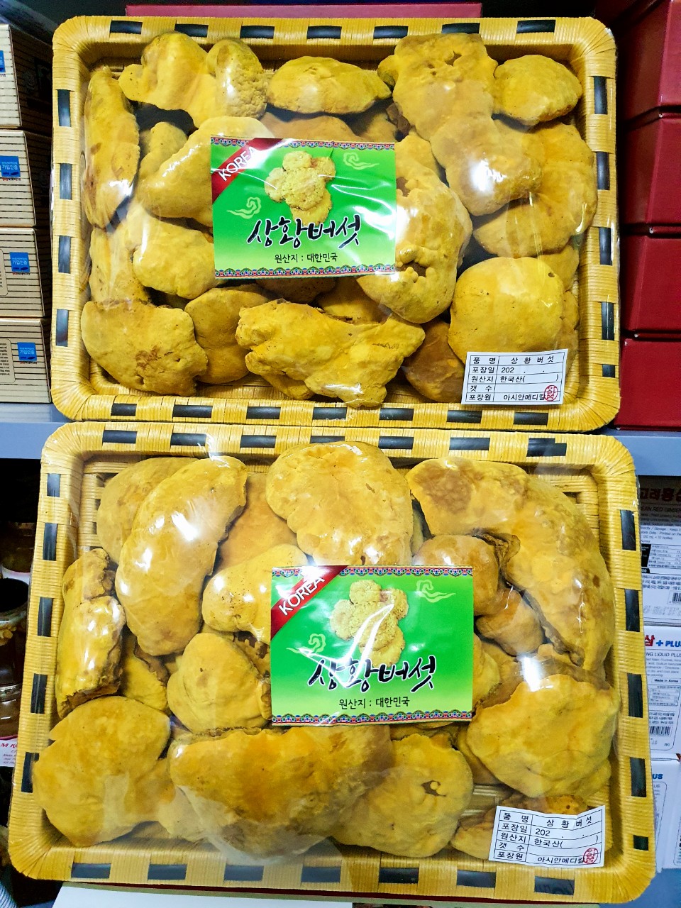 [Chuẩn Chính Hãng 100%] Nấm Thượng Hoàng Hàn Quốc Khay 500g
