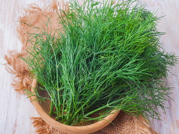 HẠT GIỐNG RAU THÌ LÀ 5gr