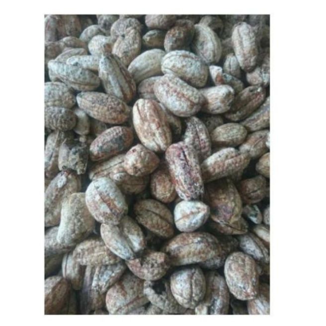 sỉ toàn quốc 3kg chuối hột rừng