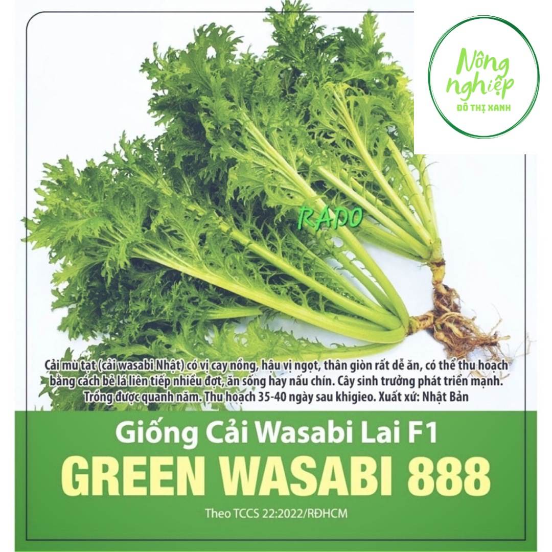 Hạt Giống Cải Wasabi Lai F1 (888) 1gr ( cải mù tạt )
