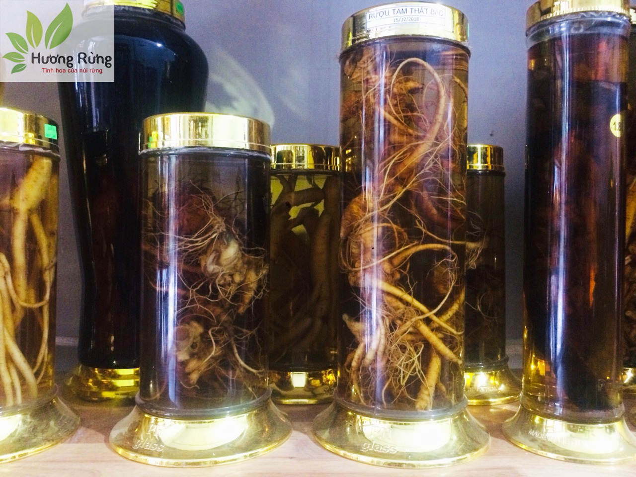 [HCM]củ tam thất 500g loại chuẩn 6 củ 1 lạng