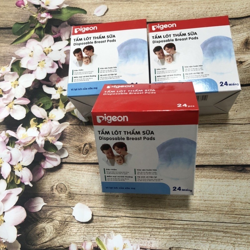 Miếng lót thấm sữa Pigeon Việt Nam (hộp 24 miếng)